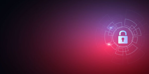 Seamless CyberSource Payment Integration in IBM Sterling Call Center (Next-Gen)​